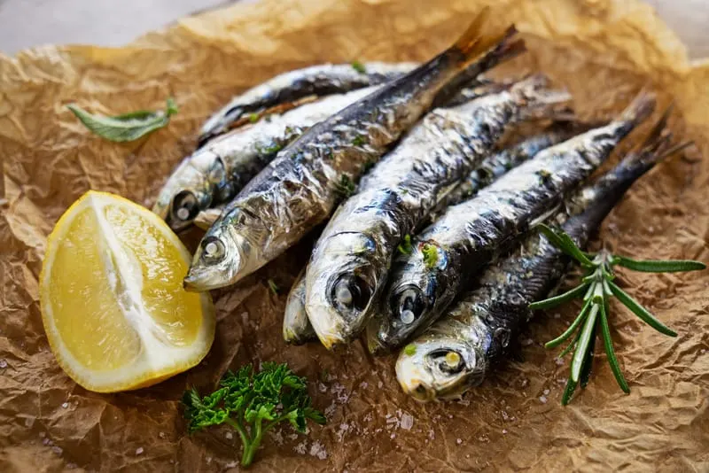 types of mackerel