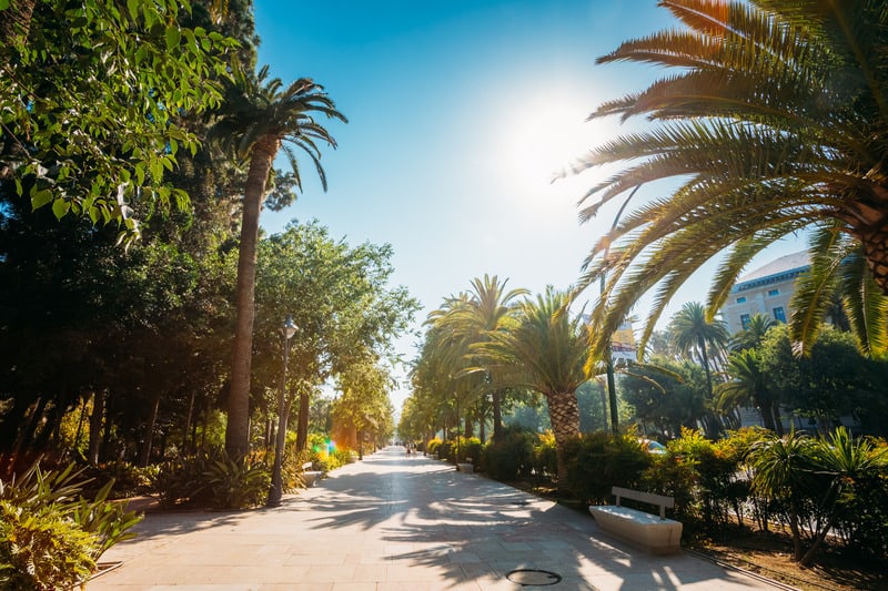 Sidewalk on the Paseo del Parque in Malaga with Palm trees, Spain