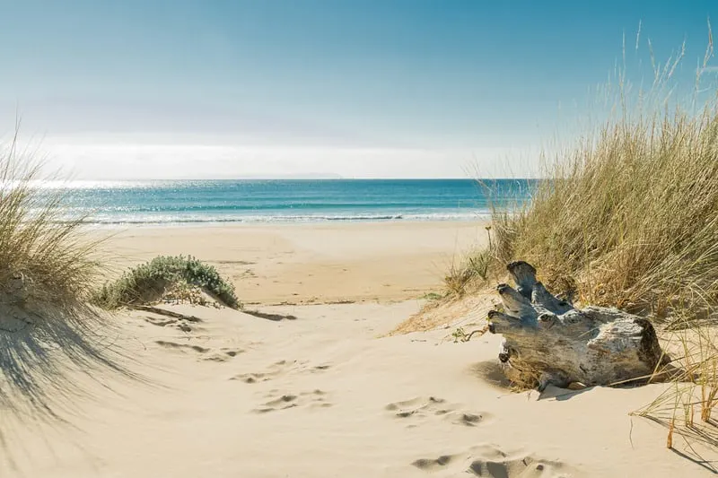 bolonia beach near Seville