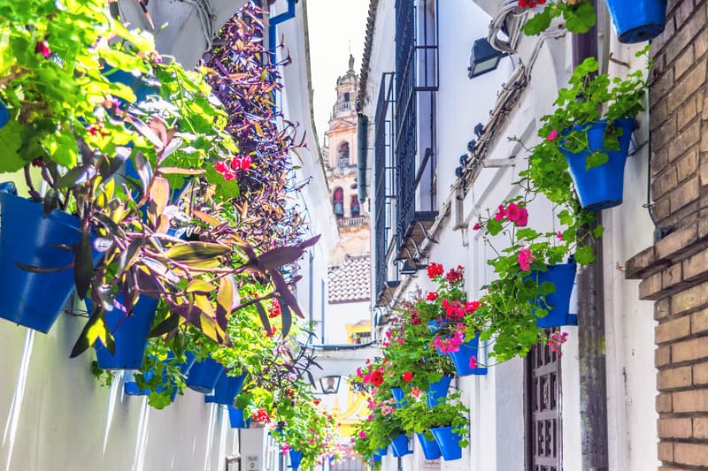 Houses on an alleyway with pretty flowers, Calleja de los Flores in Cordoba.