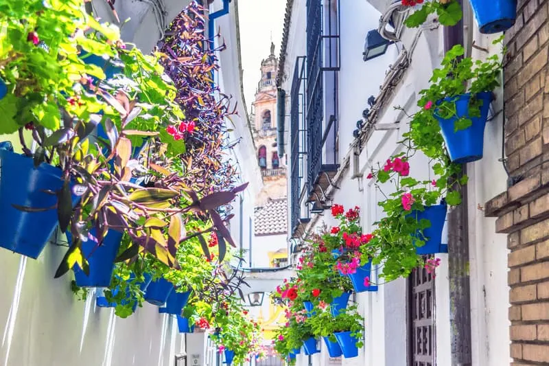 Things to do in Cordoba, Calleja de los Flores