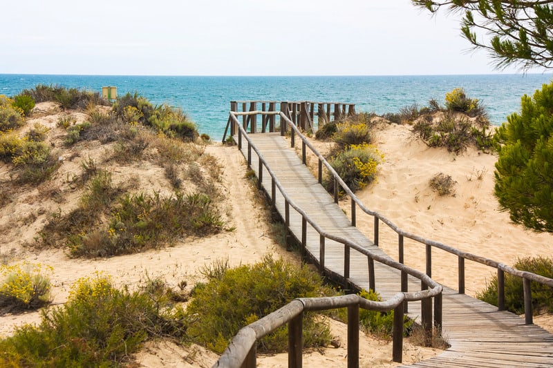 a wooden and walkway heading to a beach on a beach dune