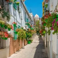 an empty street in Estepona lined with houses with flower pots decorated on the wall