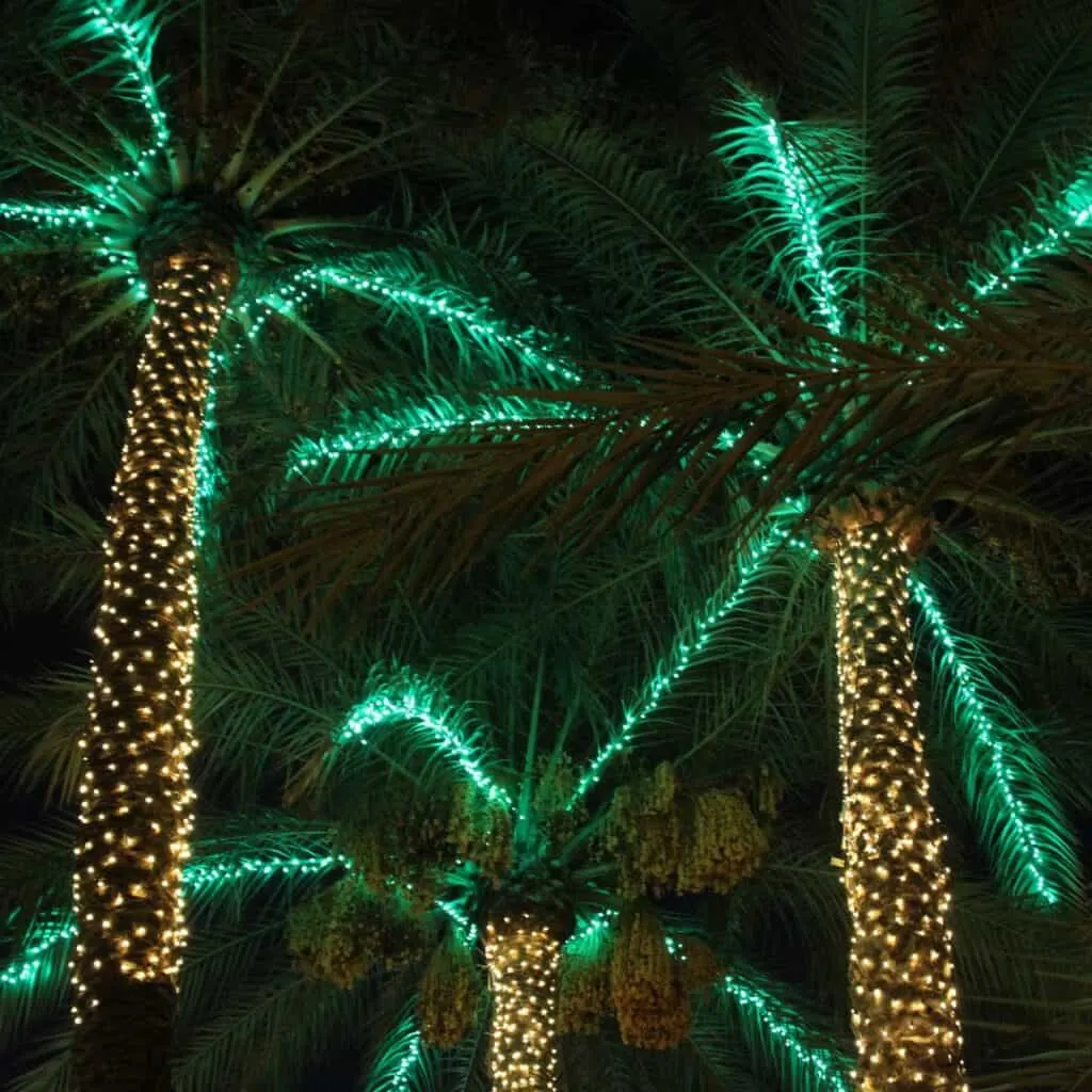 palm trees are lit up with green christmas lights