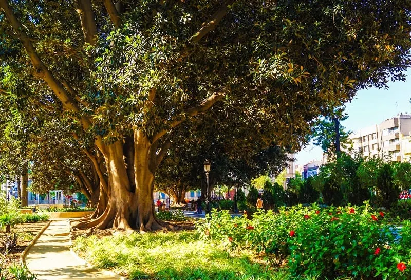 Floridablanca Gardens, Murcia, Spain filled with trees