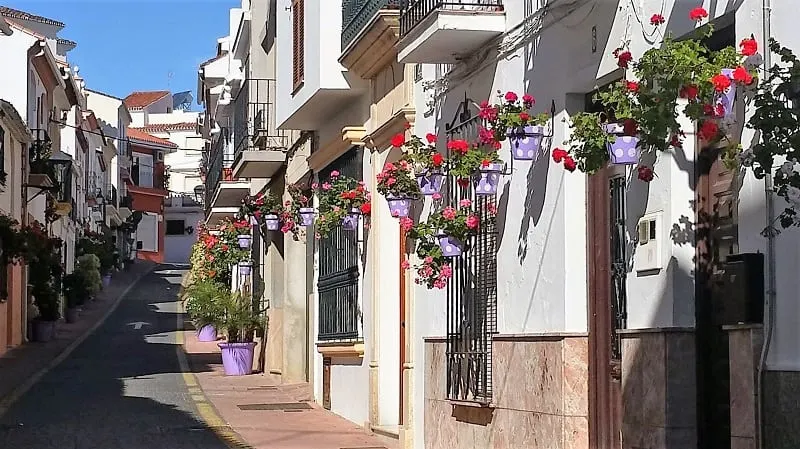 a curved road line with houses and flowers on the patio