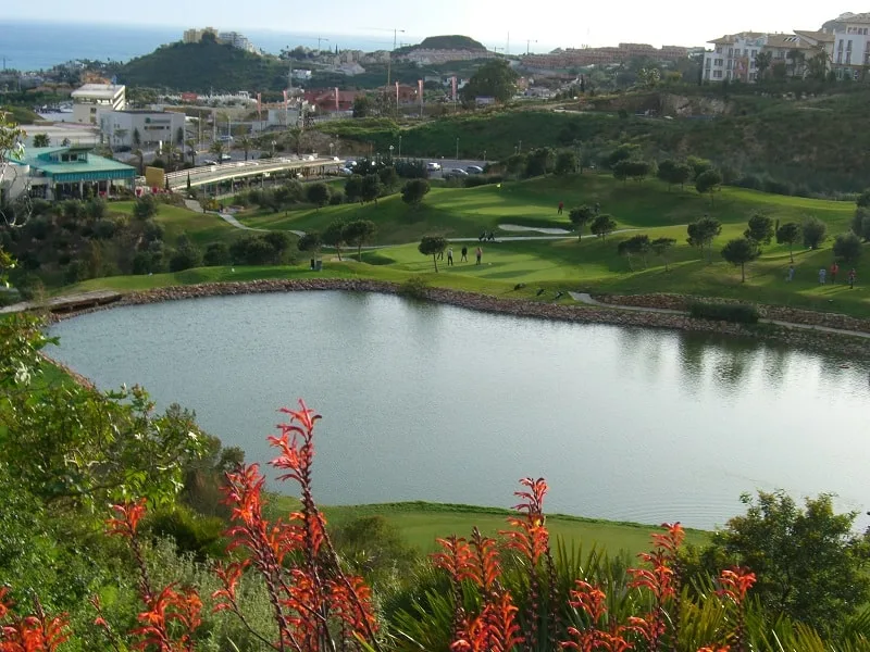 a golf course with a bond and buildings far away with golfers playing and flowers on the front