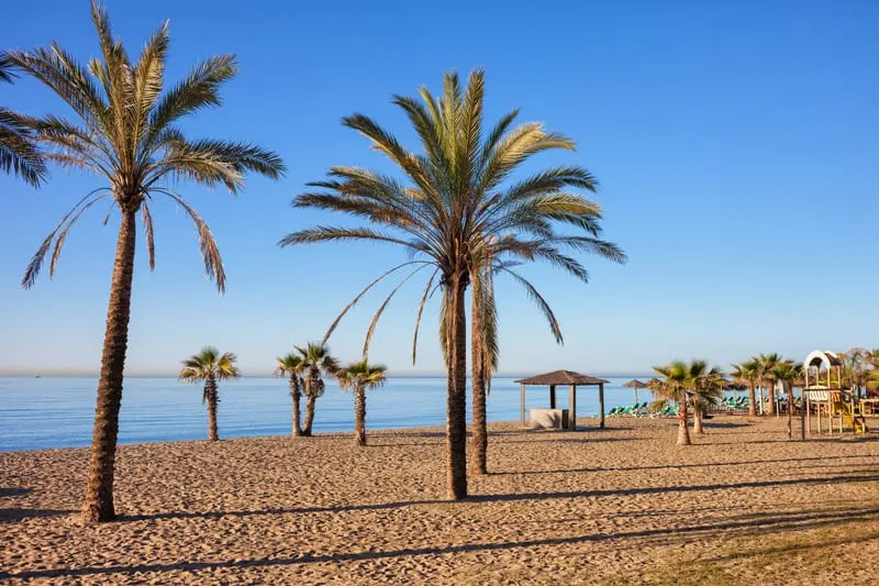 Beach in Marbella on Costa del Sol in Spain with palm trees