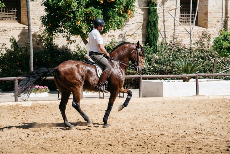 cartagena itinerary, Go Horseback riding