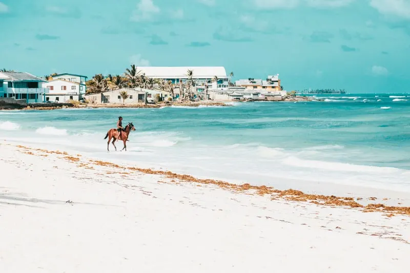 things to do in Tarifa, horse-riding in southern spain