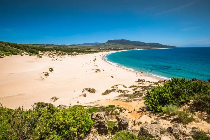 Sand dune of Bolonia beach with white sand and blue sea and trees on the front and the back on a bright day