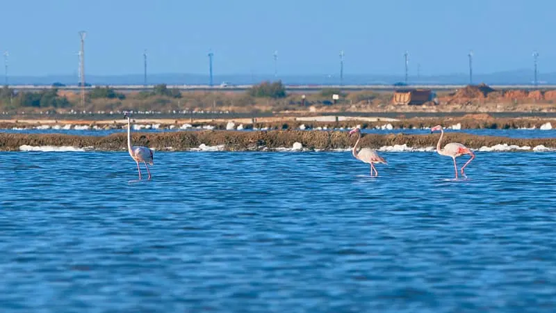 3 day itinerary Huelva, Odiel river