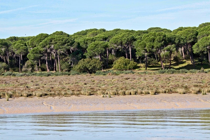 3 day itinerary Huelva, Doñana Natural Park