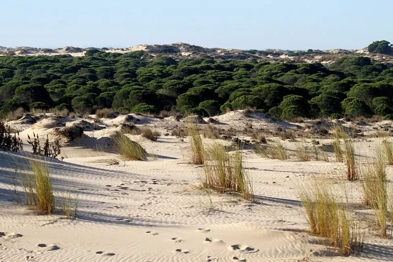 things to do in Tarifa, trekking in the natural parks