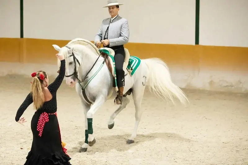 Horse-show-in-El-Ranchito, horse show spain, andalusian