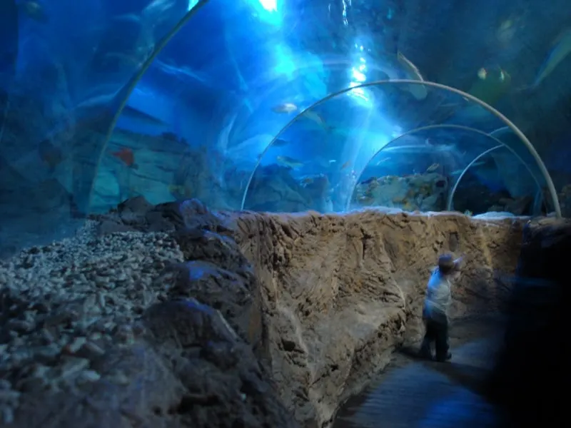 a dome looking at an aquarium at Sea Life Benalmadena with a toddler looking