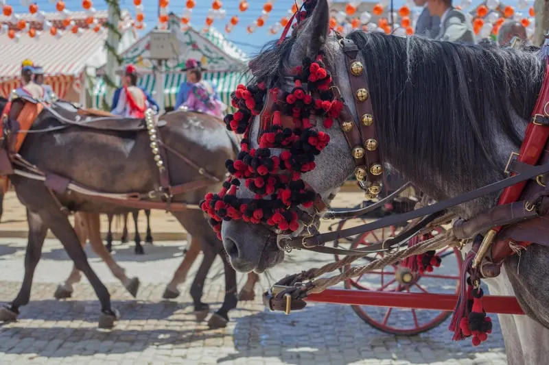 Feria horses. Feria de Abril in Sevilla