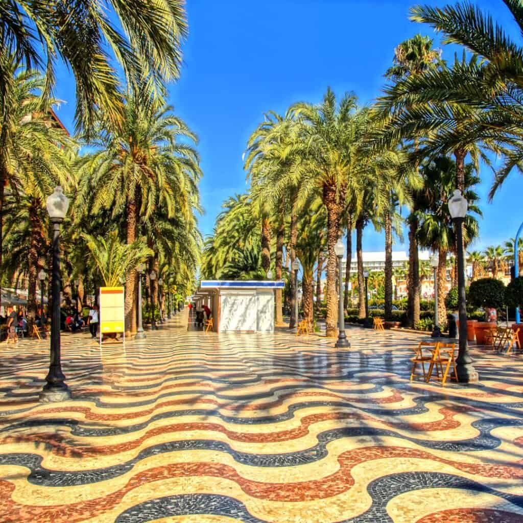 palm trees in the middle of a city street with a tiled walkway