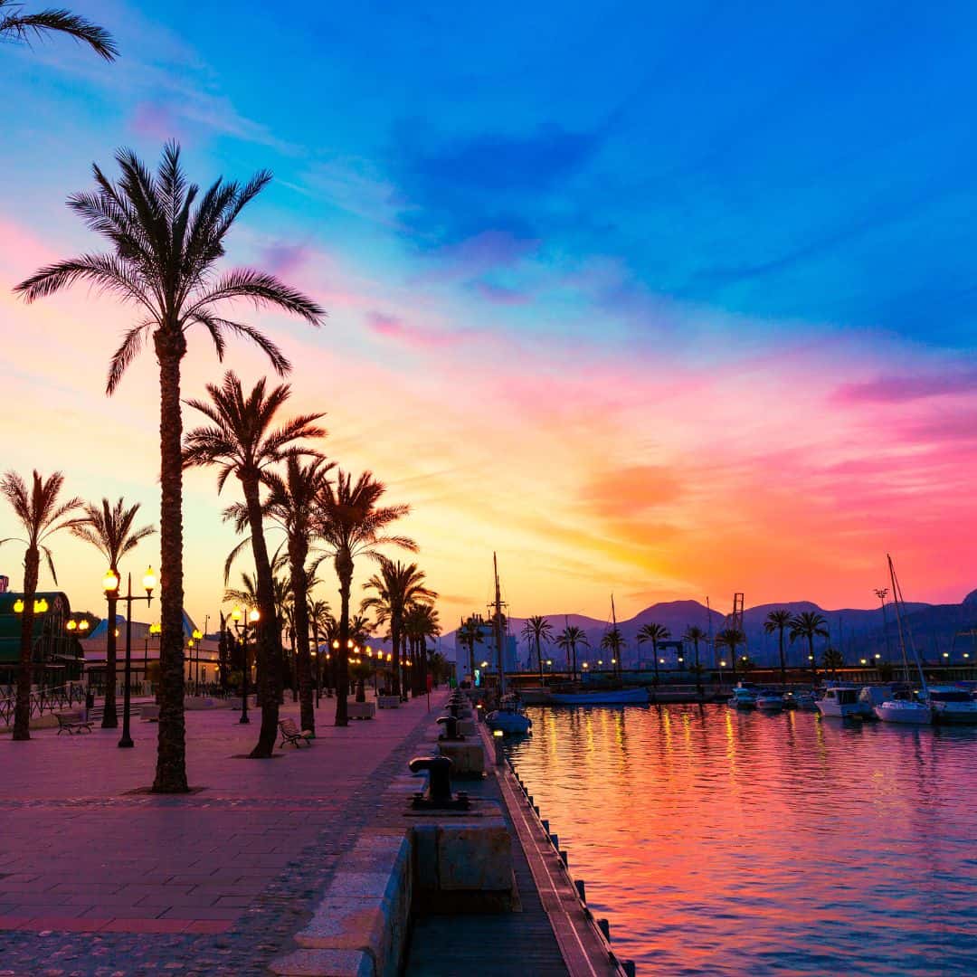 a port area with palm trees lined and boats docked during sunet 