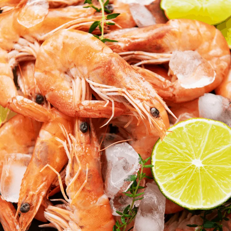 fresh shrimp on ice for the chorizo and shrimp recipe