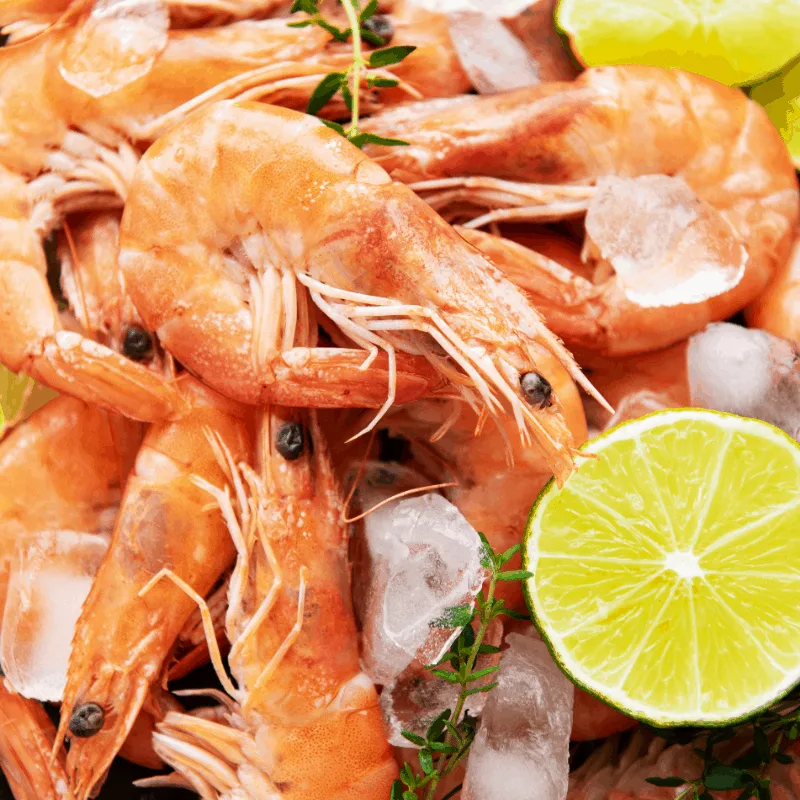 fresh shrimp on ice for the ensalada de gampas