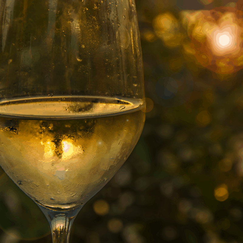 A glass of refreshing Cartojal wine in Malaga, Spain