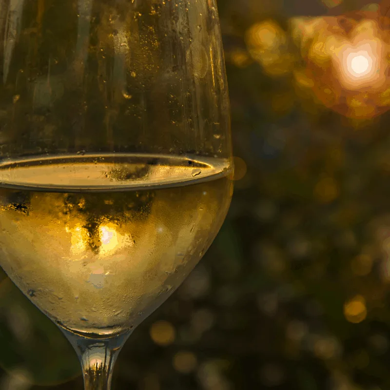 A glass of refreshing Cartojal wine in Malaga, Spain