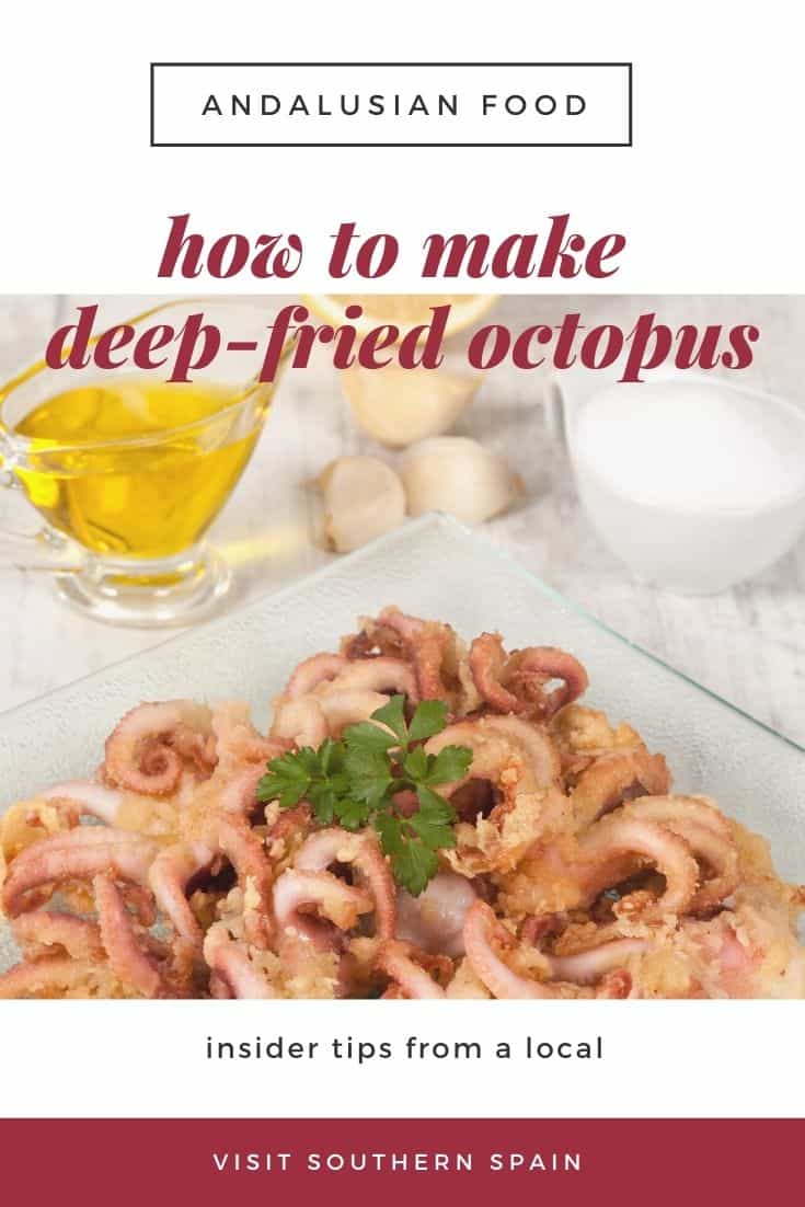 DeepFried Octopus From Spain Visit Southern Spain