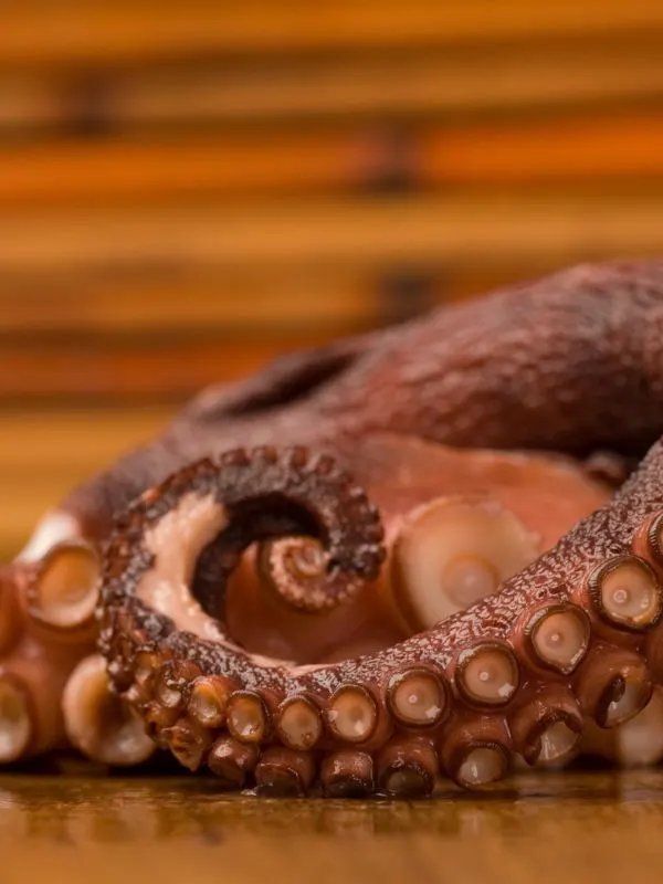 fresh octopus on a wooden table.
