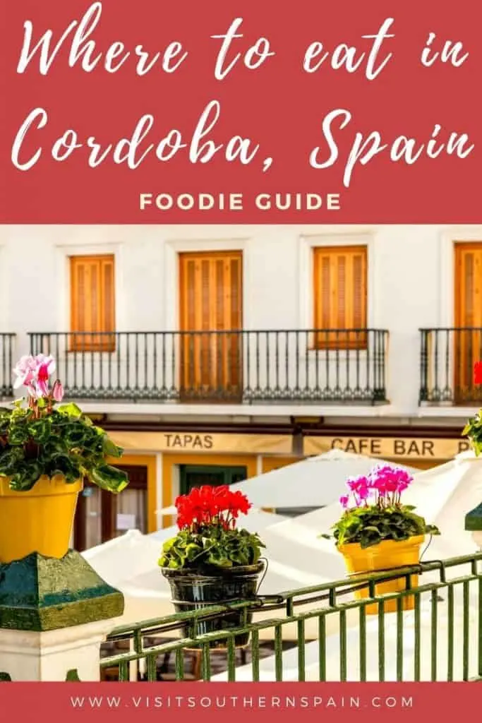 Are you wondering where to get the best food in Cordoba? This is the ultimate guide that takes you to the best restaurants in Cordoba in case you are wondering where to eat in Cordoba, Spain. There are plenty of places to eat in Cordoba but if there seems to be a top restaurant in Cordoba for every typical food from Cordoba. Thus find the best restaurants in Cordoba to eat paella, churros, or have brunch in Cordoba, Andalusia. #cordobafood #cordobaspain #cordobarestaurants #andalusiafood #cordoba