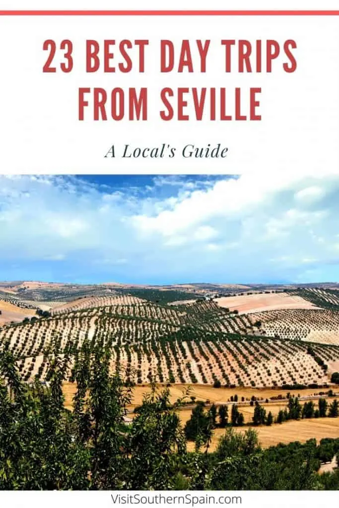 Are you wondering about the best day trips from Seville, Spain? A complete list with the best day tours from Seville in Southern Spain incl. must-visit places in Andalucia such as a day trip from Seville to Granada, Seville to Cordoba or to a beach resorts near Seville. This guide also comes with a selection of hidden, picturesque gems near Seville such as Moguer Jerez or Osuna. What is your favorite excursion from Seville? #seville #daytoursseville #daytripsseville #southernspain #andalucia