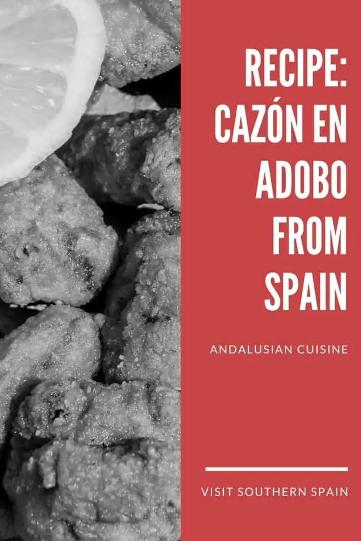 marinated cazon fish cazon en adobo 3 - Marinated Cazon Fish - Cazon en Adobo Recipe