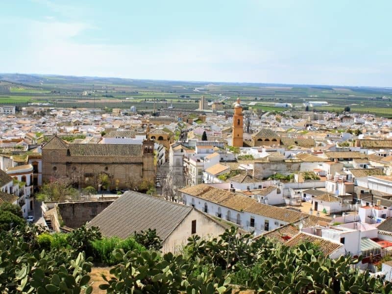 city view of Osuna spain from top