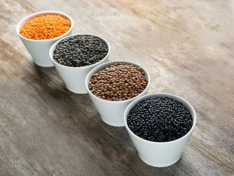 different lentil types