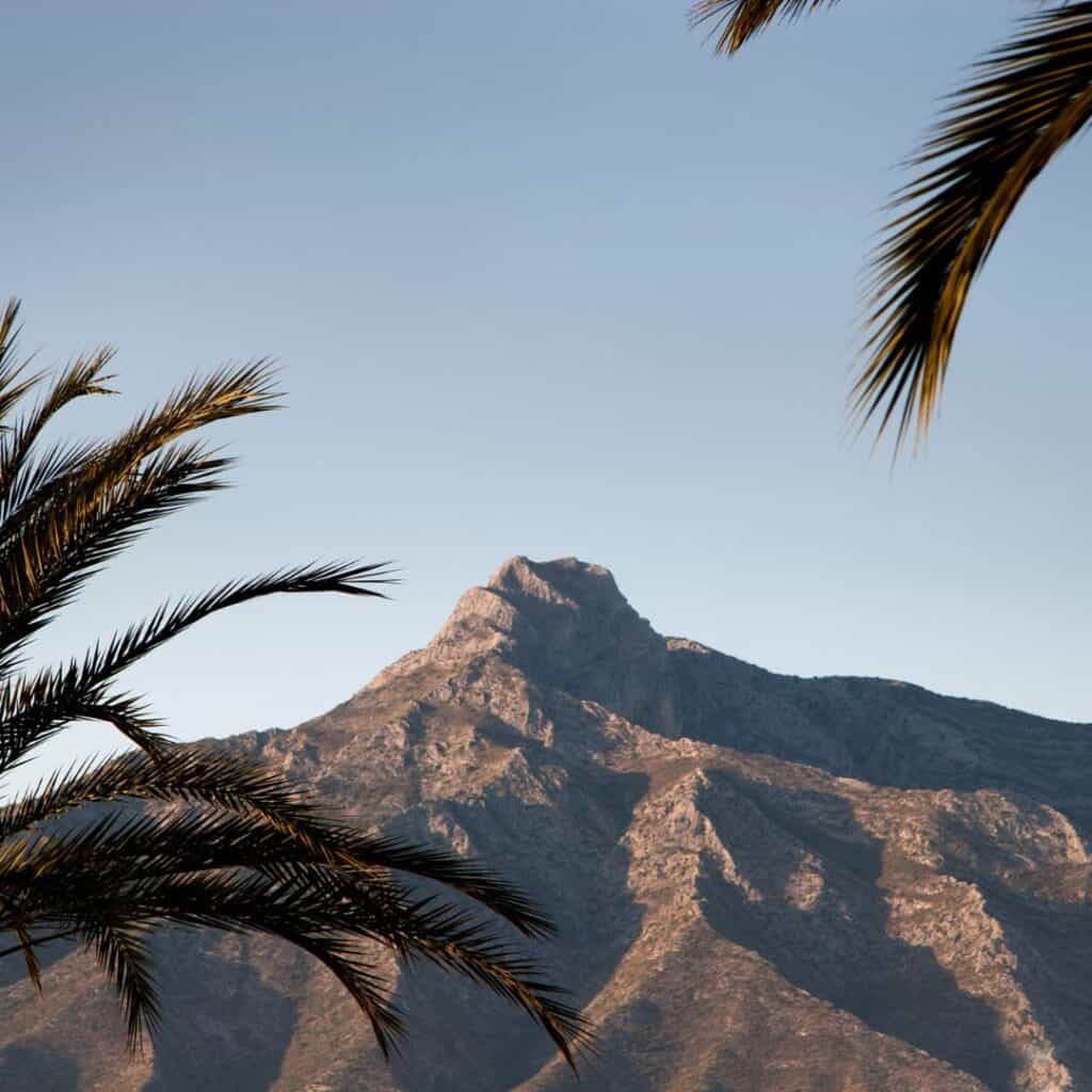 peak of the mountain with palm trees in front of it