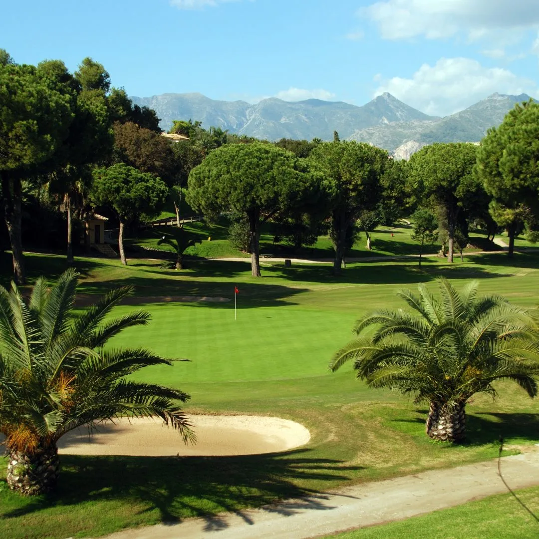 a golf course surrounded by palm trees and mountains