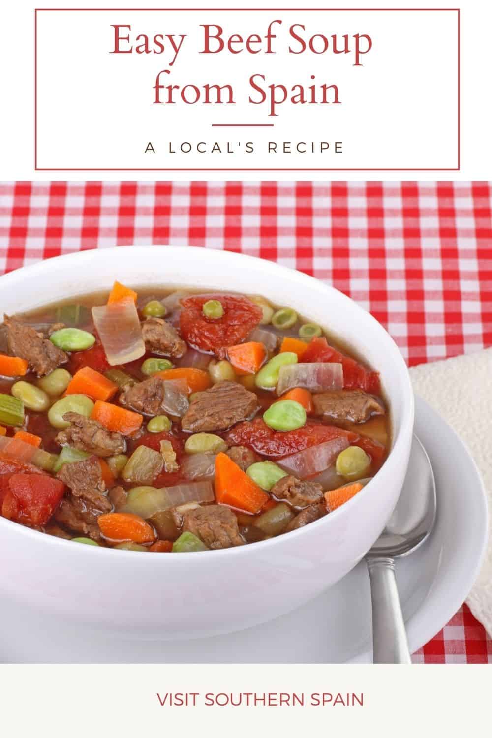 Easy Spanish Beef Soup Recipe Visit Southern Spain
