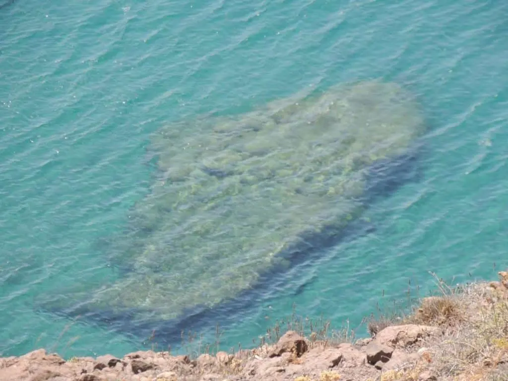 cala de las sirenas snorkel almeria spain