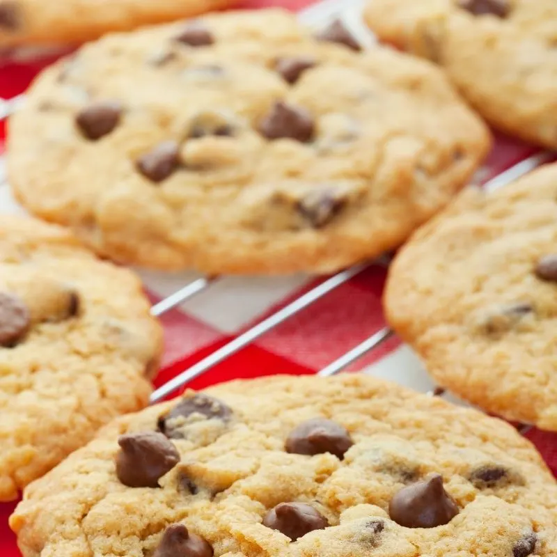 Background of the dish, easy chocolate chip cookie recipe.