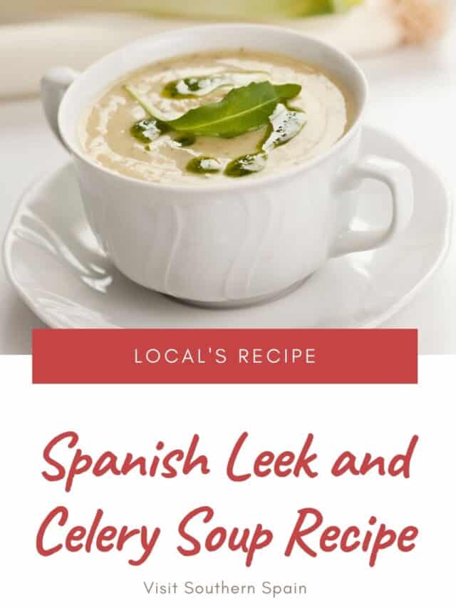 Spanish Leek and Celery Soup Recipe
