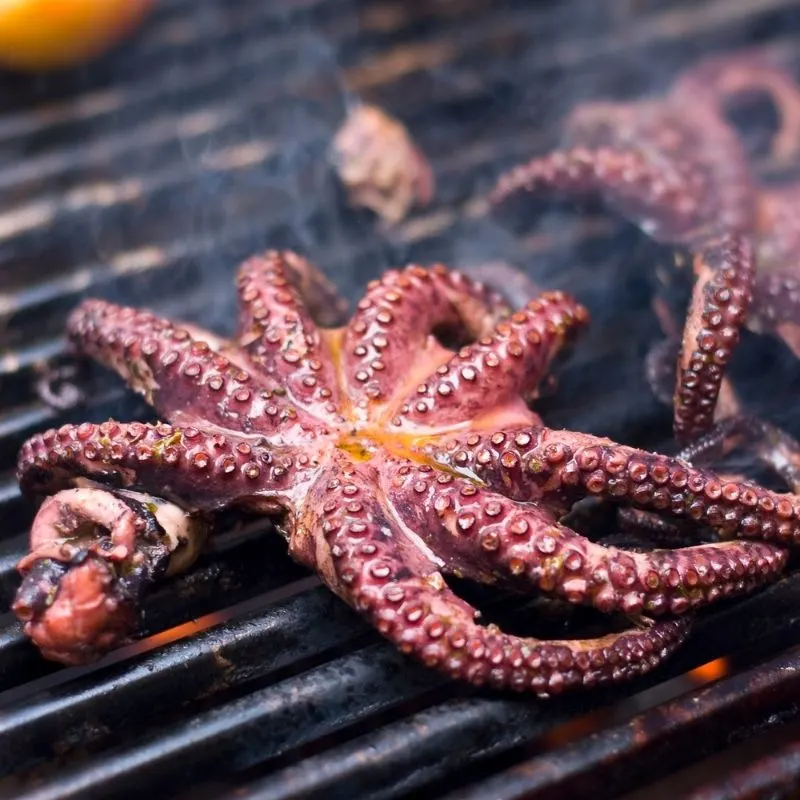 grilled octopus recipe