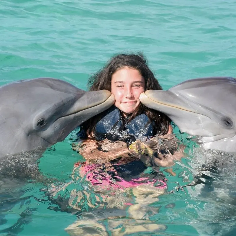 a girl swimming with dolphins at the Selwo Marina Delfinarium