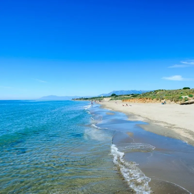 a beach with white grayish sand and trees and few people walking