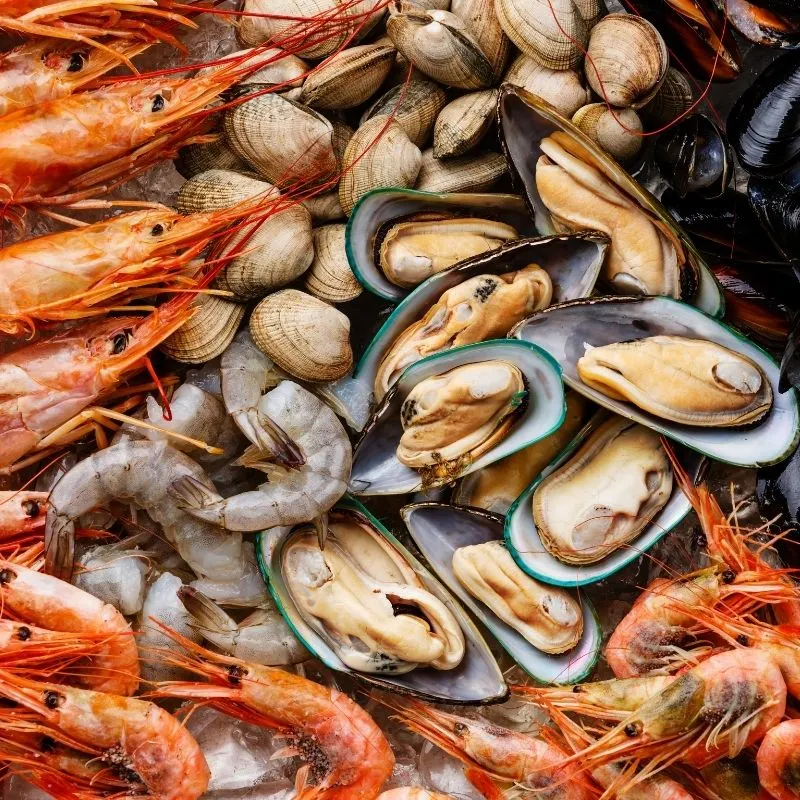 types of seafood