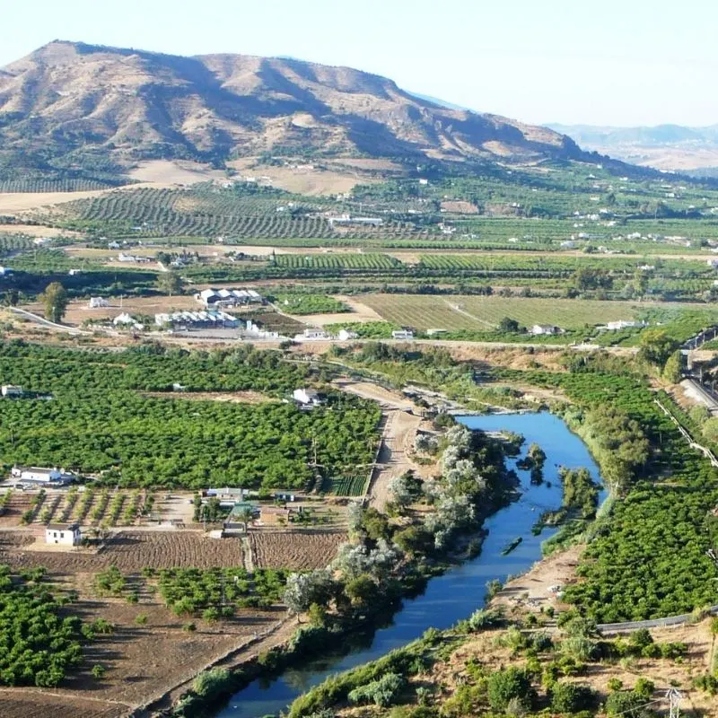 a top view of Guadalhorce River Natural Area surrounded by trees and a few houses and a mountain at the back