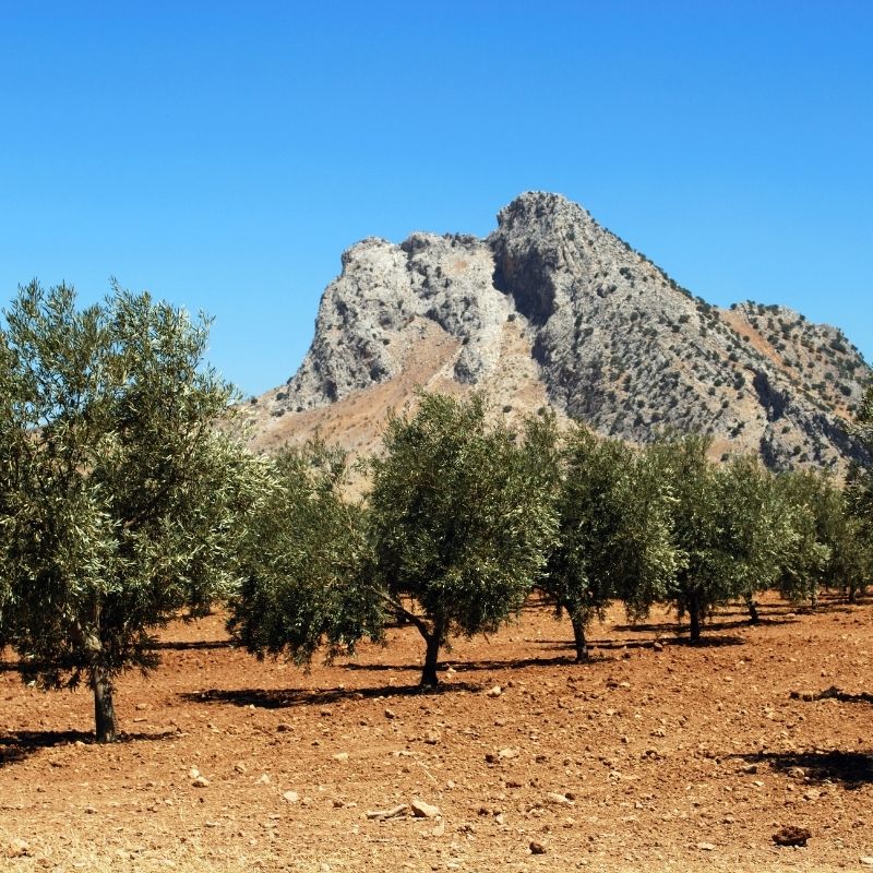 Lovers Rock Antequera, 17 Best Hiking Trails near Malaga
