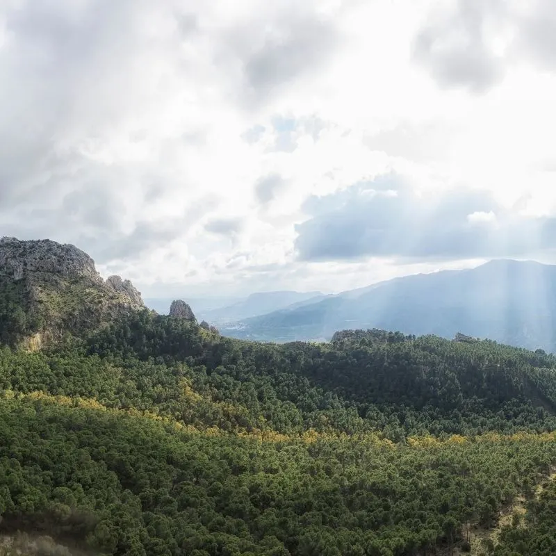 Mirador de las Buitreras, 17 Best Hiking Trails near Malaga
