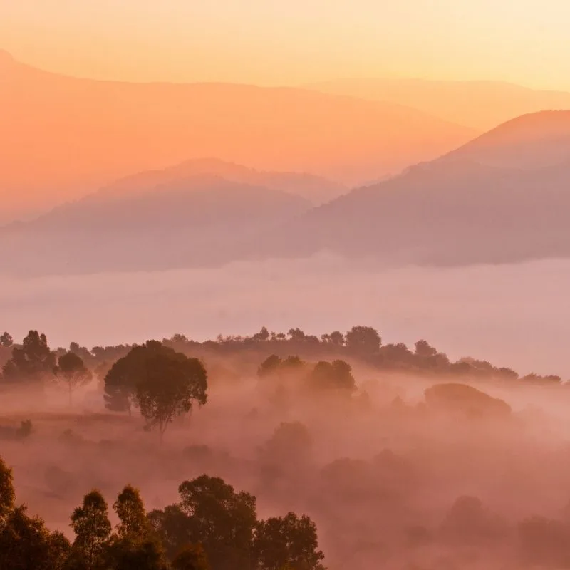 Ribera del Guadiaro, 17 Best Hiking Trails near Malaga
