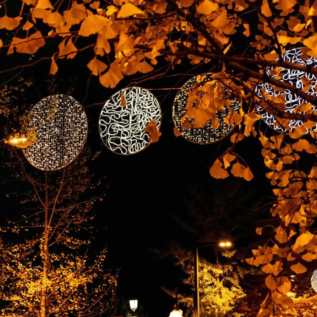 christmas lights on a street at night with autumn leaves on the foreground and trees at the background