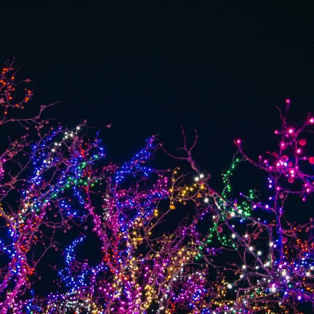 Colorful Christmas lights on a tree in the dark night